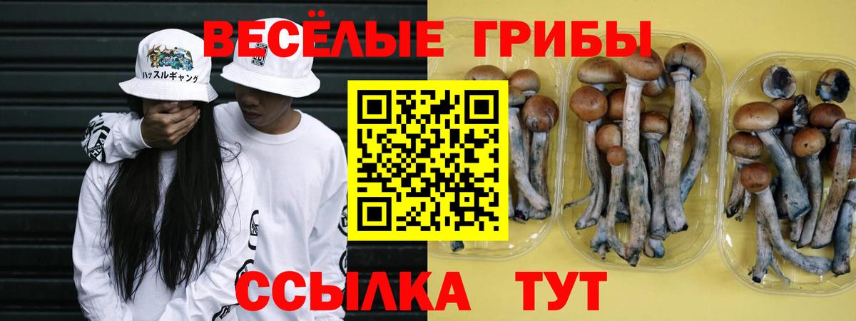 Галлюциногенные грибы MAGIC MUSHROOMS Иваново
